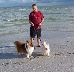 Meet your Posher, Daniel